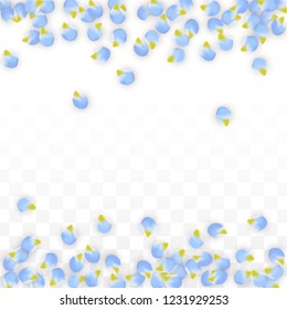 Vector Realistic Blue Petals Falling on Transparent Background.  Spring Romantic Flowers Illustration. Flying Petals. Sakura Spa Design.  Blossom Confetti. Design Elements for  Mother's Day.