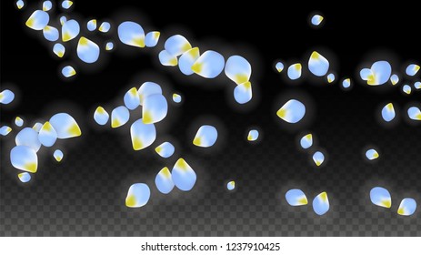 Vector Realistic Blue Petals Falling on Transparent Background.  Spring Romantic Flowers Illustration. Flying Petals. Sakura Spa Design.  Blossom Confetti. Design Elements for  Poster Design. 