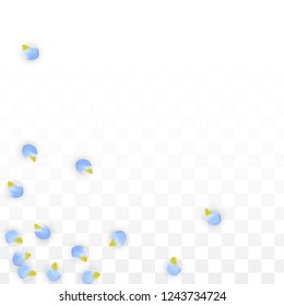 Vector Realistic Blue Petals Falling on Transparent Background.  Spring Romantic Flowers Illustration. Flying Petals. Sakura Spa Design.  Blossom Confetti. Design Elements for  Mother's Day.