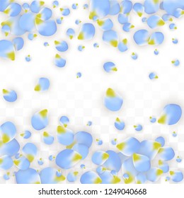 Vector Realistic Blue Petals Falling on Transparent Background.  Spring Romantic Flowers Illustration. Flying Petals. Sakura Spa Design.  Blossom Confetti. Design Elements for  8 March Card.