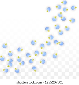 Vector Realistic Blue Petals Falling on Transparent Background.  Spring Romantic Flowers Illustration. Flying Petals. Sakura Spa Design.  Blossom Confetti. Design Elements for  St. Valentine Day.