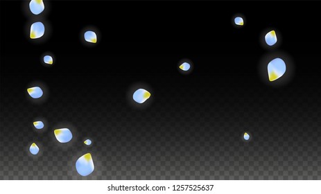 Vector Realistic Blue Petals Falling on Transparent Background.  Spring Romantic Flowers Illustration. Flying Petals. Sakura Spa Design.  Blossom Confetti. Design Elements for  Mother's Day.