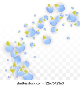 Vector Realistic Blue Petals Falling on Transparent Background.  Spring Romantic Flowers Illustration. Flying Petals. Sakura Spa Design.  Blossom Confetti. Design Elements for  St. Valentine Day.