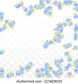 Vector Realistic Blue Petals Falling on Transparent Background.  Spring Romantic Flowers Illustration. Flying Petals. Sakura Spa Design.  Blossom Confetti. Design Elements for  Poster Design. 