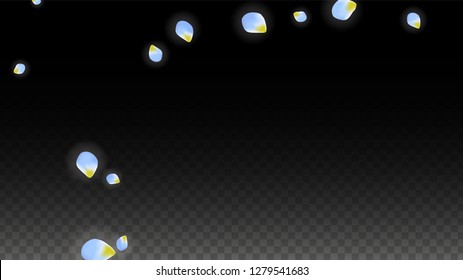 Vector Realistic Blue Petals Falling on Transparent Background.  Spring Romantic Flowers Illustration. Flying Petals. Sakura Spa Design.  Blossom Confetti. Design Elements for  St. Valentine Day.