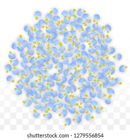 Vector Realistic Blue Petals Falling on Transparent Background.  Spring Romantic Flowers Illustration. Flying Petals. Sakura Spa Design.  Blossom Confetti. Design Elements for  Poster Design. 