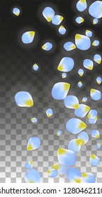 Vector Realistic Blue Petals Falling on Transparent Background.  Spring Romantic Flowers Illustration. Flying Petals.  