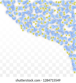 Vector Realistic Blue Petals Falling on Transparent Background.  Spring Romantic Flowers Illustration. Flying Petals. Sakura Spa Design.  Blossom Confetti. Design Elements for  Poster Design. 