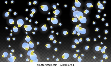 Vector Realistic Blue Petals Falling on Transparent Background.  Spring Romantic Flowers Illustration. Flying Petals. Sakura Spa Design.  Blossom Confetti. Design Elements for  Wedding Decoration.