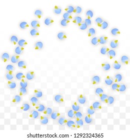 Vector Realistic Blue Petals Falling on Transparent Background.  Spring Romantic Flowers Illustration. Flying Petals. Sakura Spa Design.  Blossom Confetti. Design Elements for  8 March Card.
