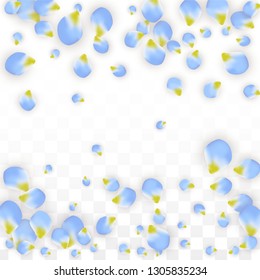 Vector Realistic Blue Petals Falling on Transparent Background.  Spring Romantic Flowers Illustration. Flying Petals. Sakura Spa Design.  Blossom Confetti. Design Elements for  Wedding Decoration.