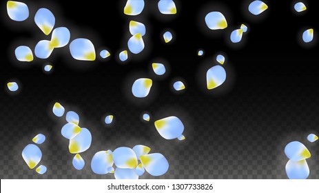 Vector Realistic Blue Petals Falling on Transparent Background.  Spring Romantic Flowers Illustration. Flying Petals. Sakura Spa Design.  Blossom Confetti. Design Elements for  Wedding Decoration.