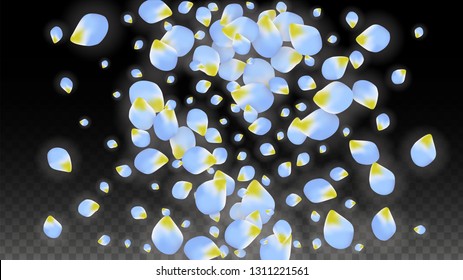 Vector Realistic Blue Petals Falling on Transparent Background.  Spring Romantic Flowers Illustration. Flying Petals. Sakura Spa Design.  Blossom Confetti. Design Elements for  Wedding Decoration.