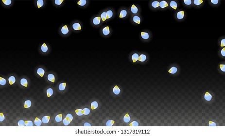 Vector Realistic Blue Petals Falling on Transparent Background.  Spring Romantic Flowers Illustration. Flying Petals. Sakura Spa Design.  Blossom Confetti. Design Elements for  St. Valentine Day.