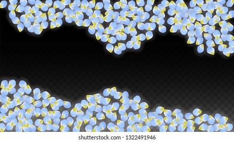 Vector Realistic Blue Petals Falling on Transparent Background.  Spring Romantic Flowers Illustration. Flying Petals. Sakura Spa Design.  Blossom Confetti. Design Elements for  Wedding Decoration.
