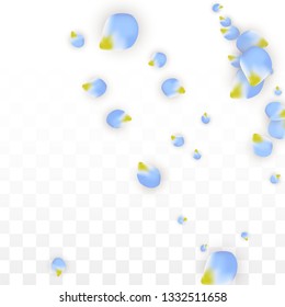 Vector Realistic Blue Petals Falling on Transparent Background.  Spring Romantic Flowers Illustration. Flying Petals. Sakura Spa Design.  Blossom Confetti. Design Elements for  Mother's Day.