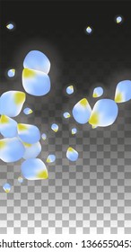 Vector Realistic Blue Petals Falling on Transparent Background.  Spring Romantic Flowers Illustration. Flying Petals. Sakura Spa Design.  Blossom Confetti. Design Elements for  Poster Design. 