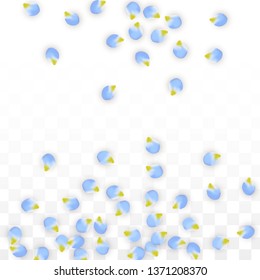 Vector Realistic Blue Petals Falling on Transparent Background.  Spring Romantic Flowers Illustration. Flying Petals. Sakura Spa Design.  Blossom Confetti. Design Elements for  8 March Card.