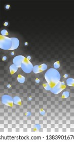 Vector Realistic Blue Petals Falling on Transparent Background.  Spring Romantic Flowers Illustration. Flying Petals. Sakura Spa Design.  Blossom Confetti. Design Elements for  Wedding Decoration.