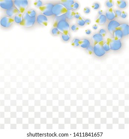 Vector Realistic Blue Petals Falling on Transparent Background.  Spring Romantic Flowers Illustration. Flying Petals. Sakura Spa Design.  Blossom Confetti. Design Elements for  Wedding Decoration.