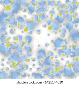 Vector Realistic Blue Petals Falling on Transparent Background.  Spring Romantic Flowers Illustration. Flying Petals. Sakura Spa Design.  Blossom Confetti. Design Elements for  Mother's Day.