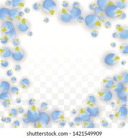 Vector Realistic Blue Petals Falling on Transparent Background.  Spring Romantic Flowers Illustration. Flying Petals. Sakura Spa Design.  Blossom Confetti. Design Elements for  8 March Card.