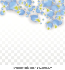 Vector Realistic Blue Petals Falling on Transparent Background.  Spring Romantic Flowers Illustration. Flying Petals. Sakura Spa Design.  Blossom Confetti. Design Elements for  8 March Card.