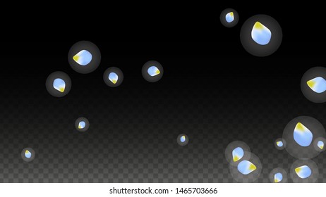 Vector Realistic Blue Petals Falling on Transparent Background.  Spring Romantic Flowers Illustration. Flying Petals. Sakura Spa Design.  Blossom Confetti. Design Elements for  Mother's Day.