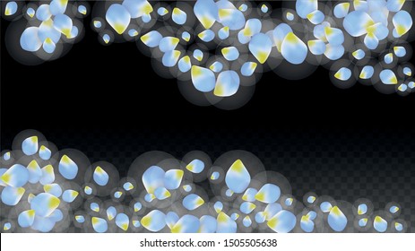 Vector Realistic Blue Petals Falling on Transparent Background.  Spring Romantic Flowers Illustration. Flying Petals. Sakura Spa Design.  Blossom Confetti. Design Elements for  8 March Card.