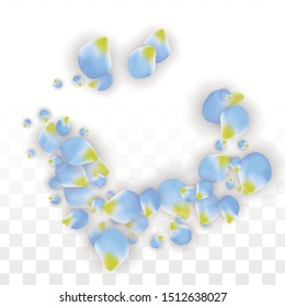 Vector Realistic Blue Petals Falling on Transparent Background.  Spring Romantic Flowers Illustration. Flying Petals. Sakura Spa Design.  Blossom Confetti. Design Elements for  Wedding Decoration.