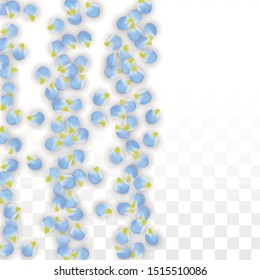 Vector Realistic Blue Petals Falling on Transparent Background.  Spring Romantic Flowers Illustration. Flying Petals. Sakura Spa Design.  Blossom Confetti. Design Elements for  Poster Design. 