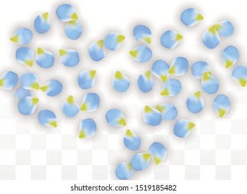 Vector Realistic Blue Petals Falling on Transparent Background.  Spring Romantic Flowers Illustration. Flying Petals. Sakura Spa Design.  Blossom Confetti. Design Elements for  Poster Design. 