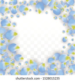 Vector Realistic Blue Petals Falling on Transparent Background.  Spring Romantic Flowers Illustration. Flying Petals. Sakura Spa Design.  Blossom Confetti. Design Elements for  Poster Design. 