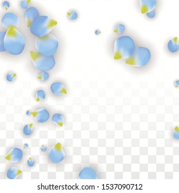 Vector Realistic Blue Petals Falling on Transparent Background.  Spring Romantic Flowers Illustration. Flying Petals. Sakura Spa Design.  Blossom Confetti. Design Elements for  St. Valentine Day.