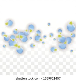 Vector Realistic Blue Petals Falling on Transparent Background.  Spring Romantic Flowers Illustration. Flying Petals. Sakura Spa Design.  Blossom Confetti. Design Elements for  Poster Design. 