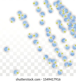 Vector Realistic Blue Petals Falling on Transparent Background.  Spring Romantic Flowers Illustration. Flying Petals. Sakura Spa Design.  Blossom Confetti. Design Elements for  Mother's Day.