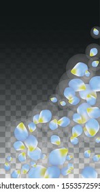 Vector Realistic Blue Petals Falling on Transparent Background.  Spring Romantic Flowers Illustration. Flying Petals. Sakura Spa Design.  Blossom Confetti. Design Elements for  Poster Design. 