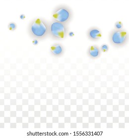 Vector Realistic Blue Petals Falling on Transparent Background.  Spring Romantic Flowers Illustration. Flying Petals. Sakura Spa Design.  Blossom Confetti. Design Elements for  8 March Card.