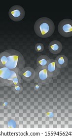 Vector Realistic Blue Petals Falling on Transparent Background.  Spring Romantic Flowers Illustration. Flying Petals. Sakura Spa Design.  Blossom Confetti. Design Elements for  Wedding Decoration.