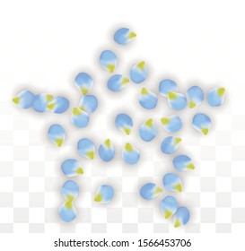 Vector Realistic Blue Petals Falling on Transparent Background.  Spring Romantic Flowers Illustration. Flying Petals. Sakura Spa Design.  Blossom Confetti. Design Elements for  Poster Design. 