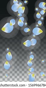 Vector Realistic Blue Petals Falling on Transparent Background.  Spring Romantic Flowers Illustration. Flying Petals. Sakura Spa Design.  Blossom Confetti. Design Elements for  Poster Design. 