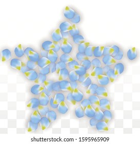 Vector Realistic Blue Petals Falling on Transparent Background.  Spring Romantic Flowers Illustration. Flying Petals. Sakura Spa Design.  Blossom Confetti. Design Elements for  8 March Card.