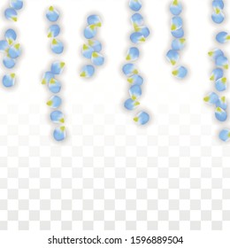 Vector Realistic Blue Petals Falling on Transparent Background.  Spring Romantic Flowers Illustration. Flying Petals. Sakura Spa Design.  Blossom Confetti. Design Elements for  Mother's Day.