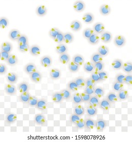 Vector Realistic Blue Petals Falling on Transparent Background.  Spring Romantic Flowers Illustration. Flying Petals. Sakura Spa Design.  Blossom Confetti. Design Elements for  St. Valentine Day.