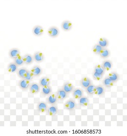 Vector Realistic Blue Petals Falling on Transparent Background.  Spring Romantic Flowers Illustration. Flying Petals. Sakura Spa Design.  Blossom Confetti. Design Elements for  Wedding Decoration.