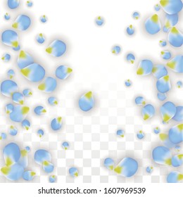 Vector Realistic Blue Petals Falling on Transparent Background.  Spring Romantic Flowers Illustration. Flying Petals. Sakura Spa Design.  Blossom Confetti. Design Elements for  Mother's Day.