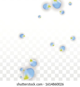 Vector Realistic Blue Petals Falling on Transparent Background.  Spring Romantic Flowers Illustration. Flying Petals. Sakura Spa Design.  Blossom Confetti. Design Elements for  Wedding Decoration.