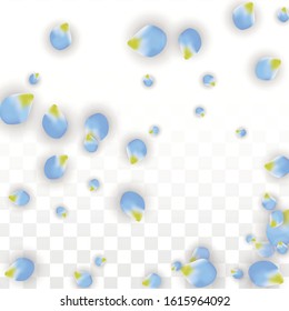 Vector Realistic Blue Petals Falling on Transparent Background.  Spring Romantic Flowers Illustration. Flying Petals. Sakura Spa Design.  Blossom Confetti. Design Elements for  8 March Card.