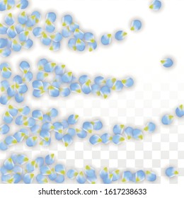Vector Realistic Blue Petals Falling on Transparent Background.  Spring Romantic Flowers Illustration. Flying Petals. Sakura Spa Design.  Blossom Confetti. Design Elements for  Mother's Day.