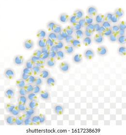 Vector Realistic Blue Petals Falling on Transparent Background.  Spring Romantic Flowers Illustration. Flying Petals. Sakura Spa Design.  Blossom Confetti. Design Elements for  8 March Card.